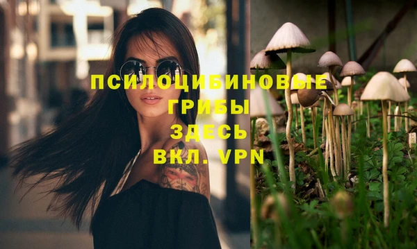 дурь Аркадак