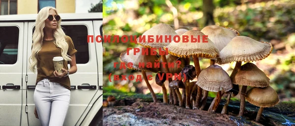дурь Аркадак