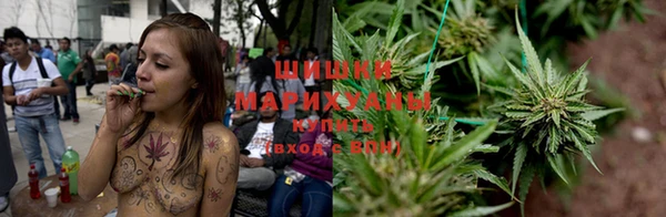 дурь Аркадак