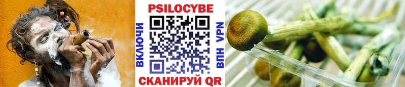 Галлюциногенные грибы мицелий  kraken вход  Петухово 